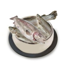 Pstruh kuchaný - kusový (1kg)