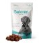 Geloren DOG - L/XL (420g/60ks)
