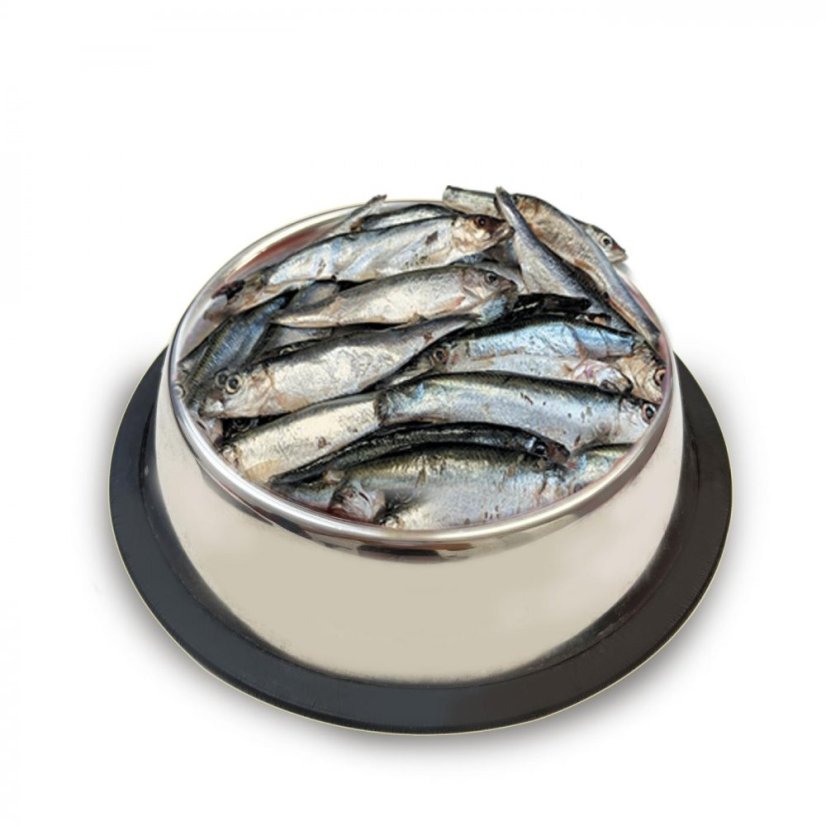 Šproty celé (500g)