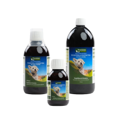 Precizní mikroby - Probiotika, prebiotika a postbiotika