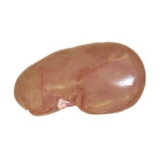 Vepřová ledvina - kusová (1kg)